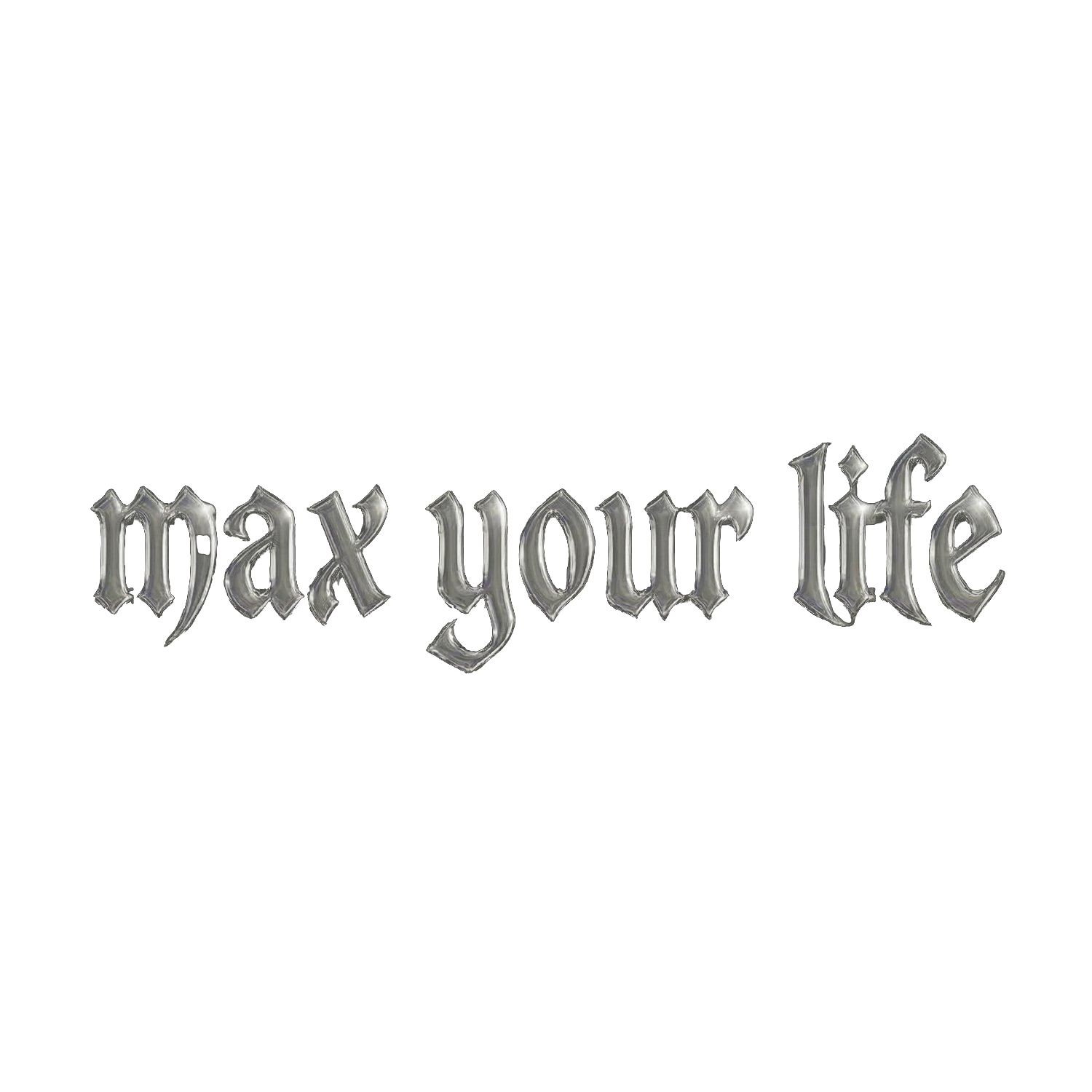 Lifemaxxing